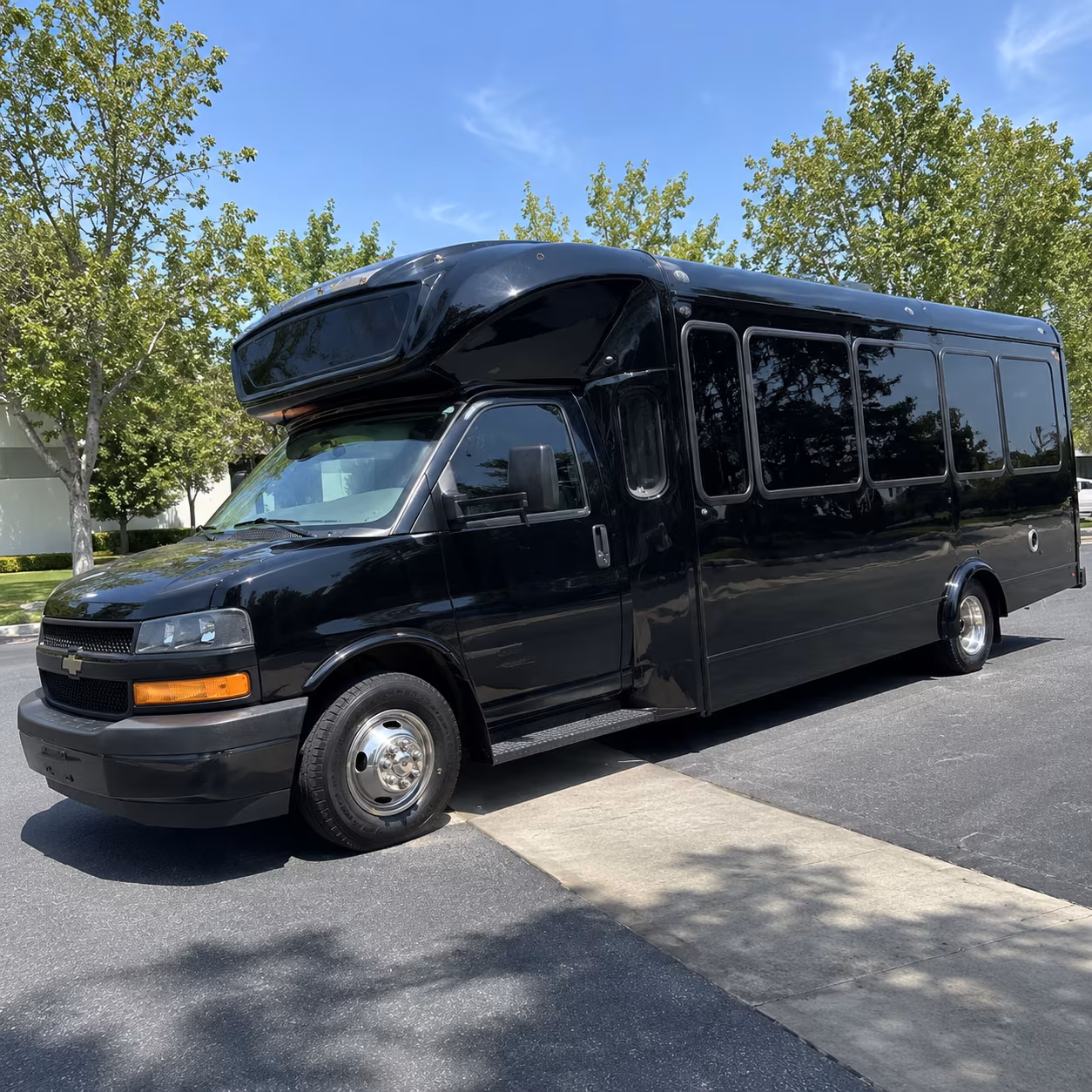 hampton 15 passenger party bus